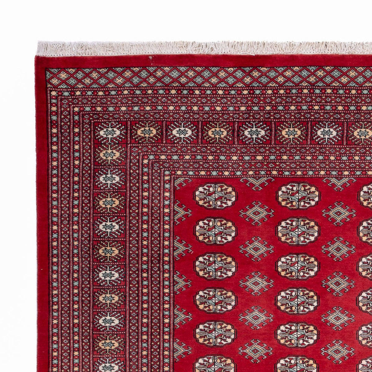 Bukhara Mattan 250x296cm - Oriental Carpet
