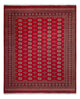 Bukhara Mattan 305x252cm - Oriental Carpet