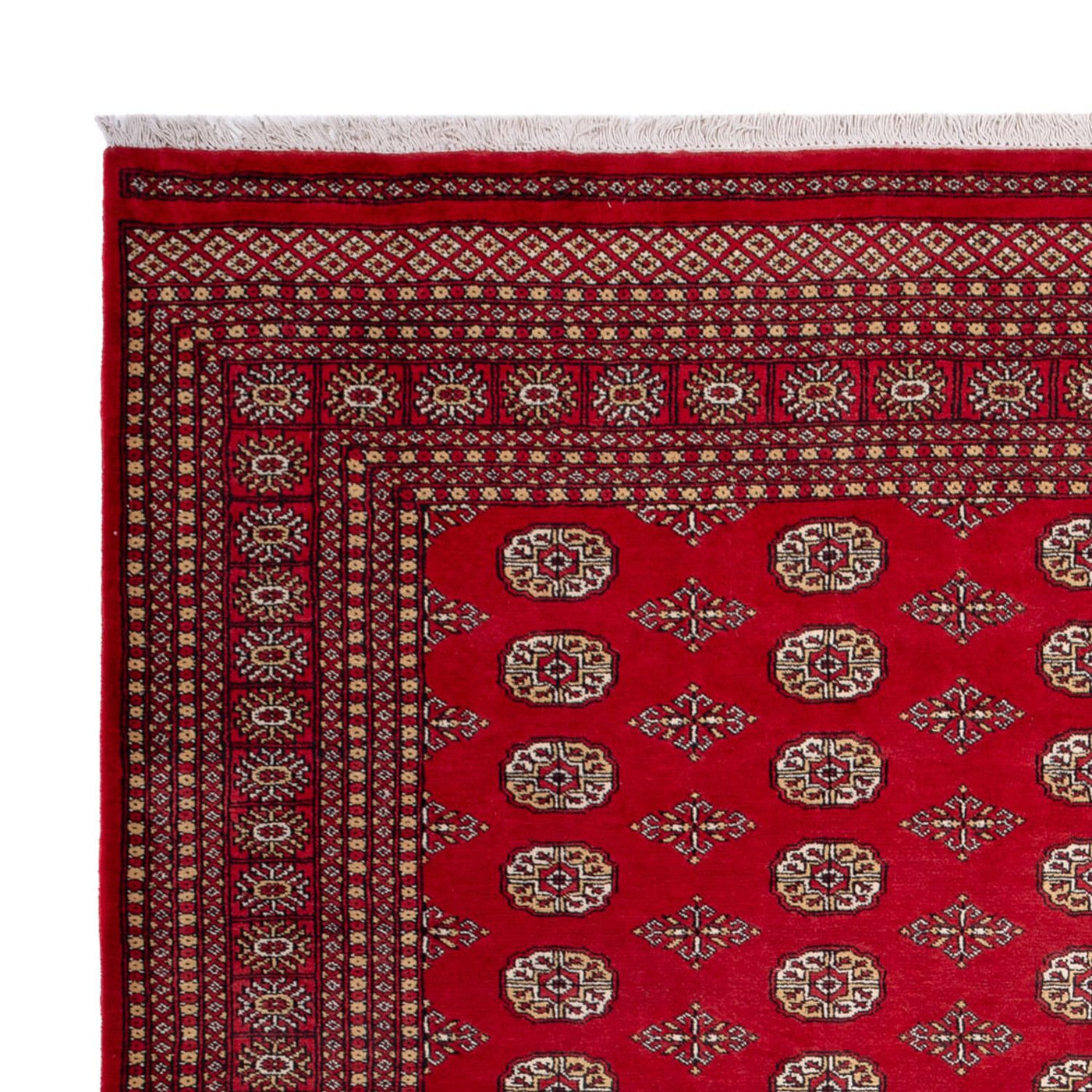 Bukhara Mattan 305x252cm - Oriental Carpet