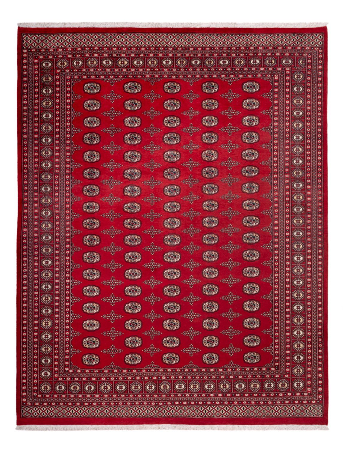 Afghansk matta - Bukhara - 319 x 250 cm - röd
