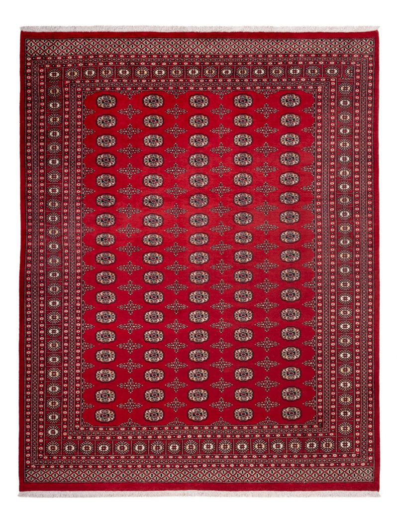 Afghansk matta - Bukhara - 319 x 250 cm - röd