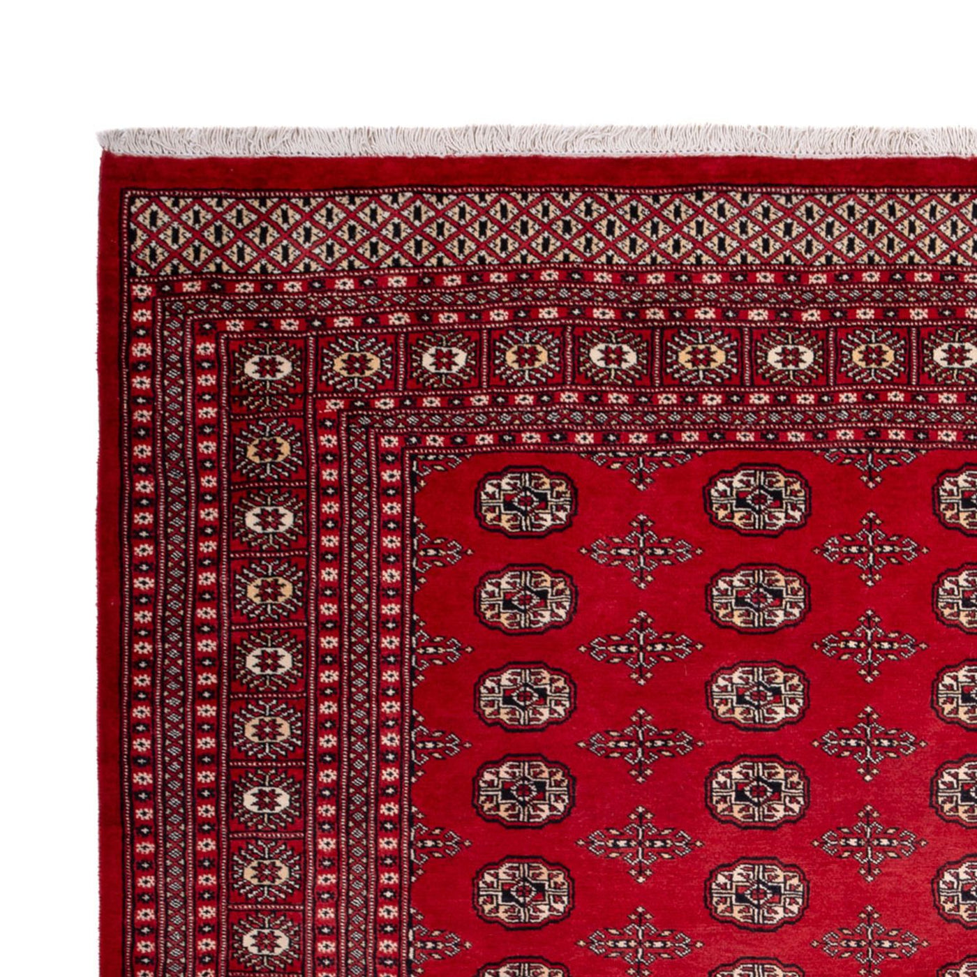 Bukhara Mattan 319x250cm - Oriental Carpet