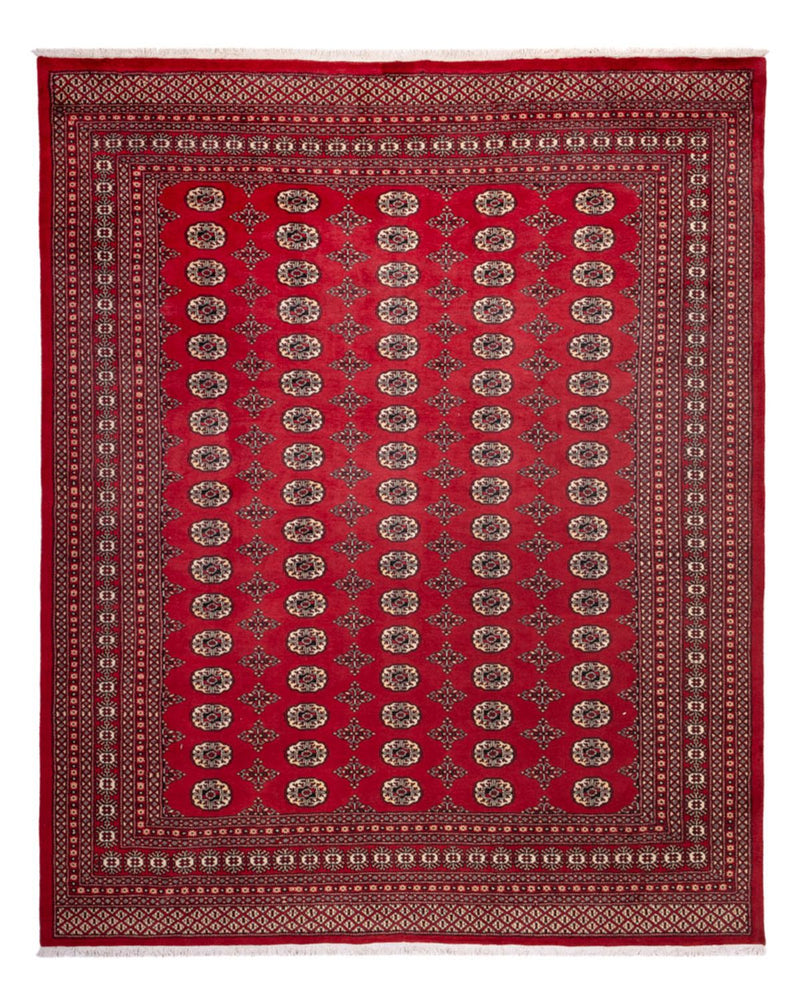 Afghansk matta - Bukhara - 309 x 248 cm - röd