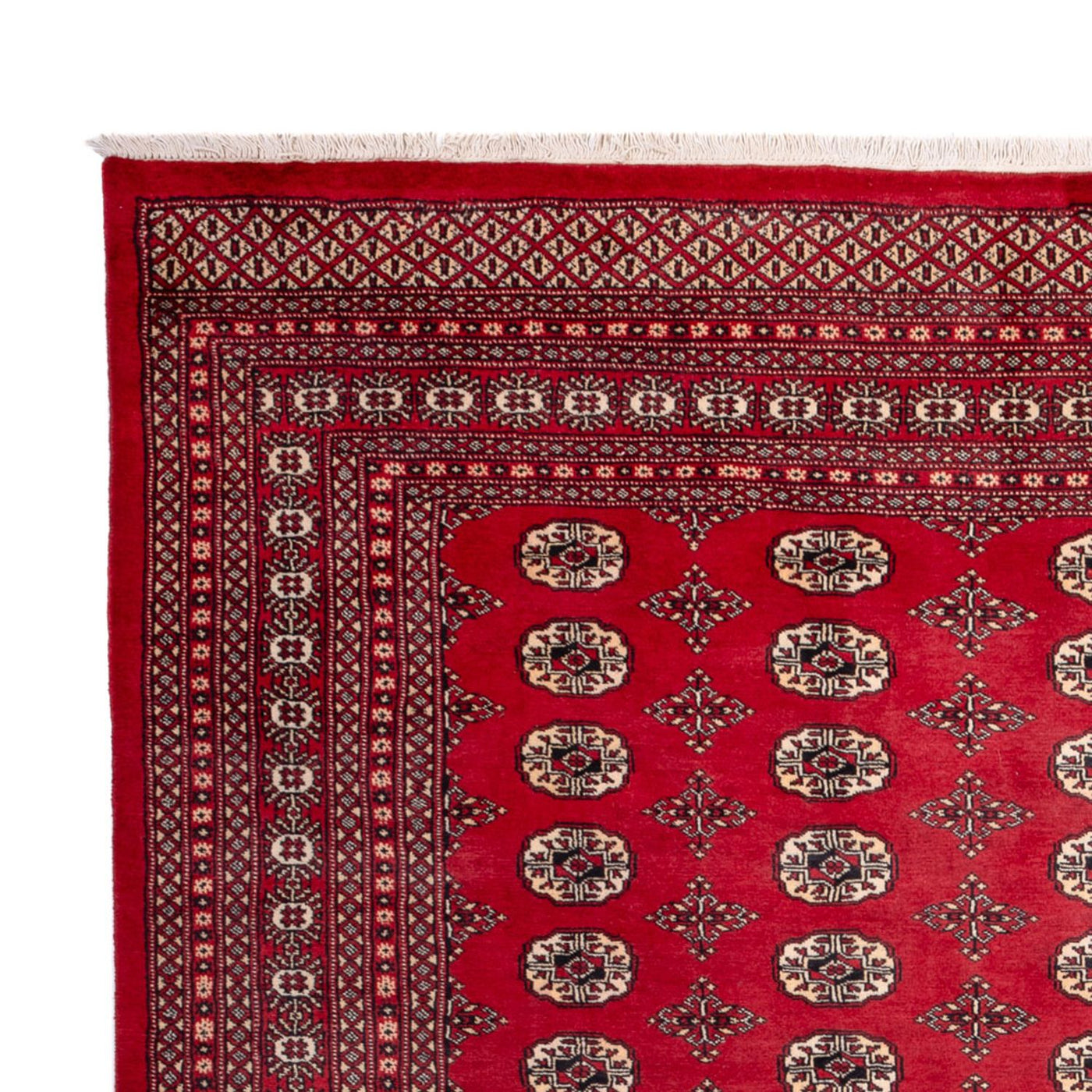 Bukhara Mattan 309x248cm - Oriental Carpet