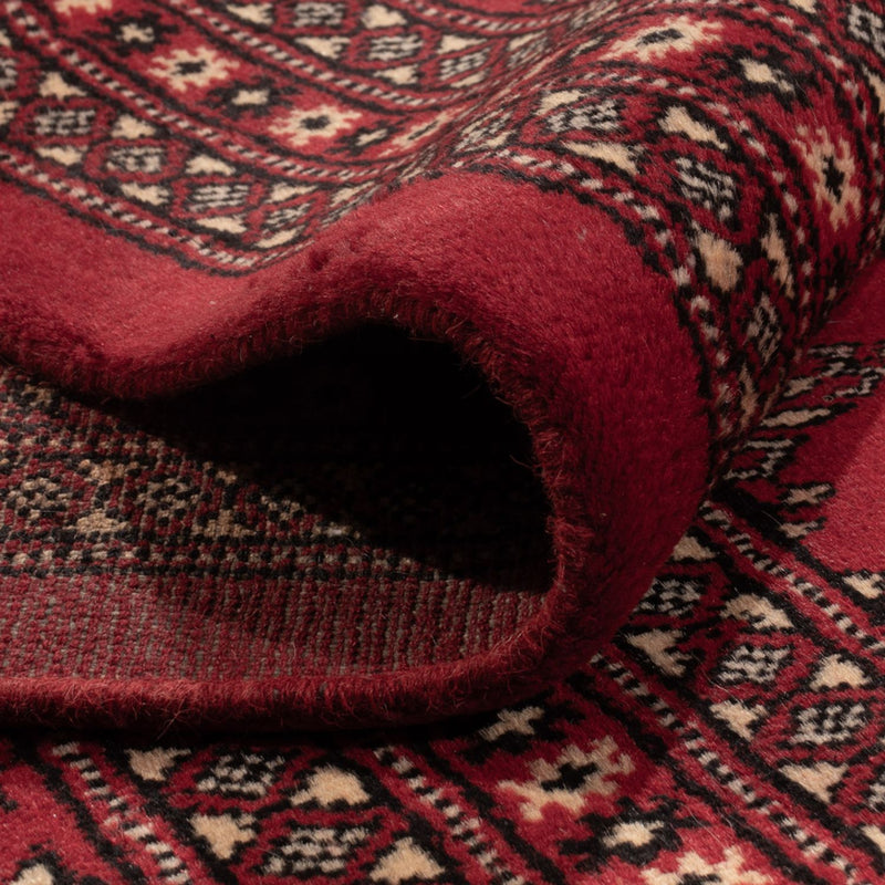 Afghansk matta - Bukhara - 309 x 248 cm - röd