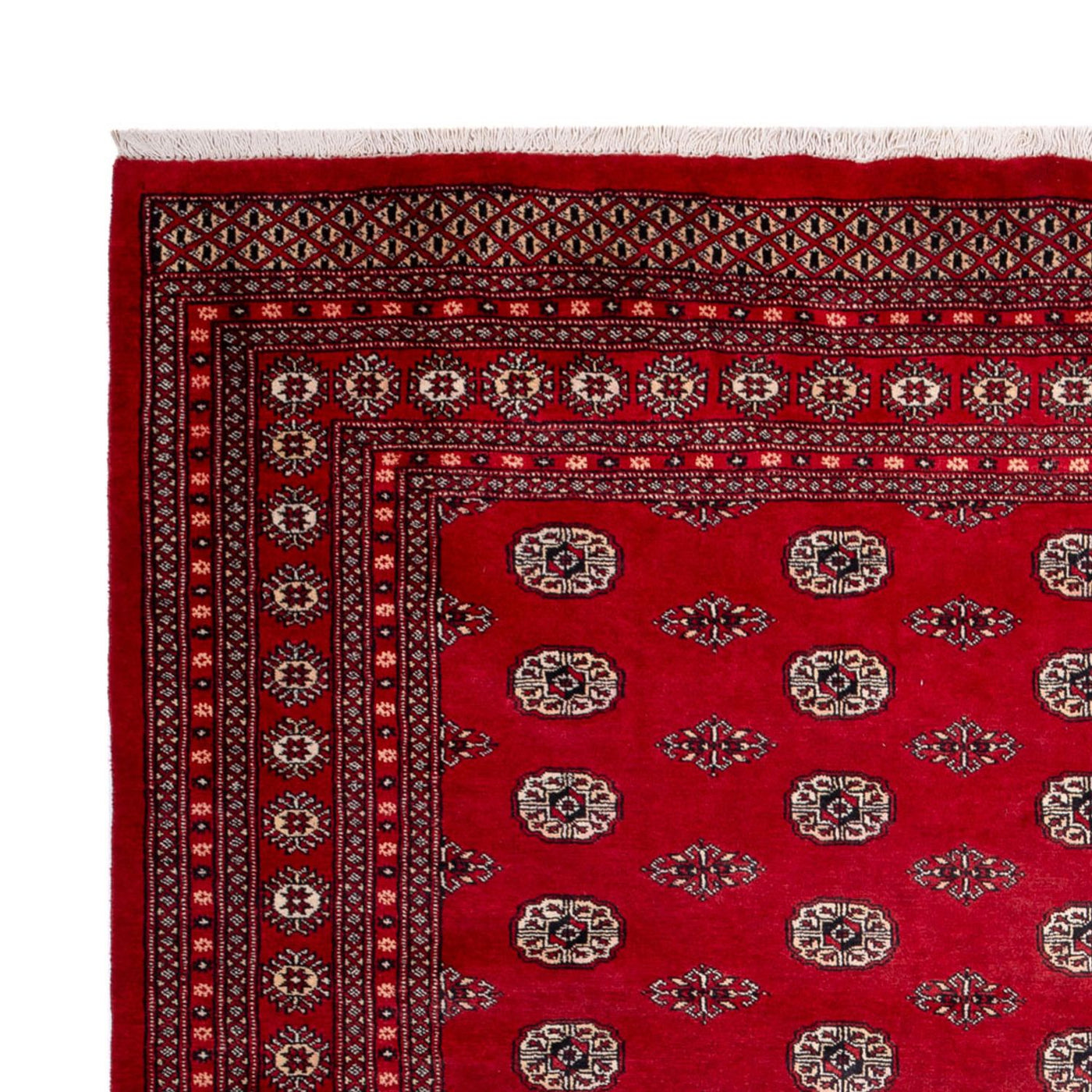 Bukhara Mattan 323x248cm - Oriental Carpet