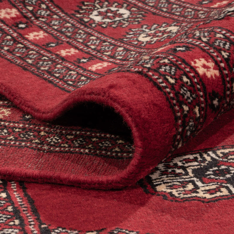 Afghansk matta - Bukhara - 323 x 248 cm - röd