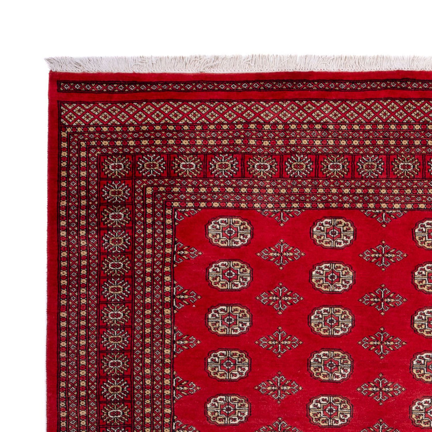 Bukhara Mattan 321x247cm - Oriental Carpet