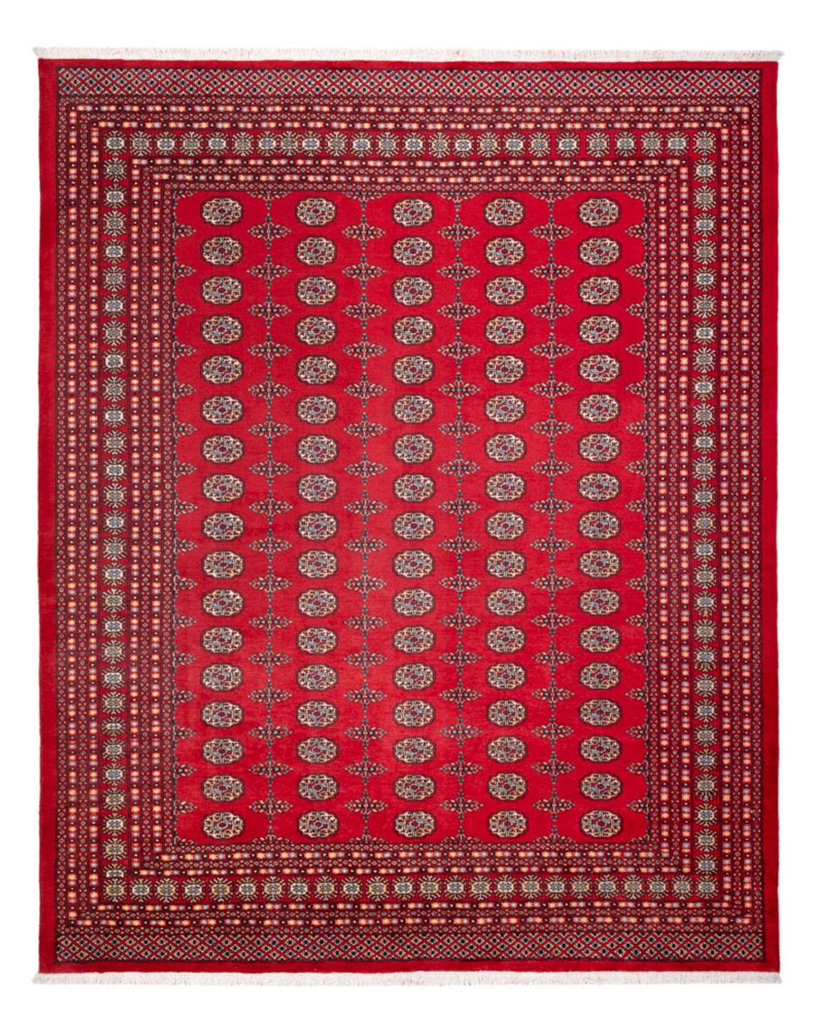 Afghansk matta - Bukhara - 310 x 250 cm - röd
