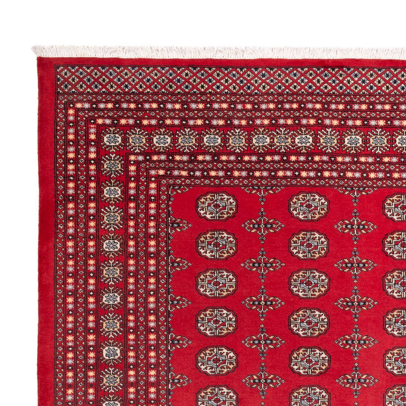 Bukhara Mattan 310x250cm - Oriental Carpet