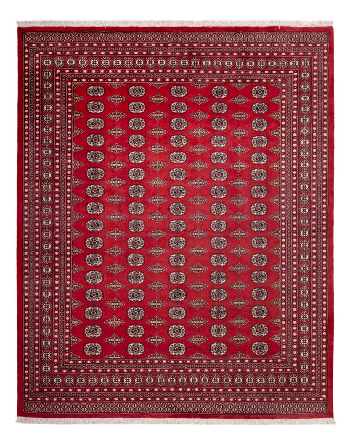 Afghansk matta - Bukhara - 315 x 248 cm - röd