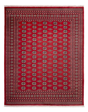 Afghansk matta - Bukhara - 315 x 248 cm - röd