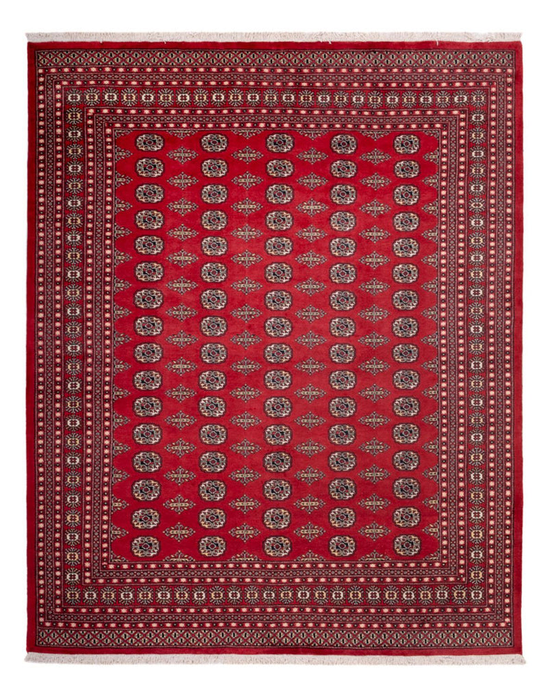 Afghansk matta - Bukhara - 315 x 248 cm - röd