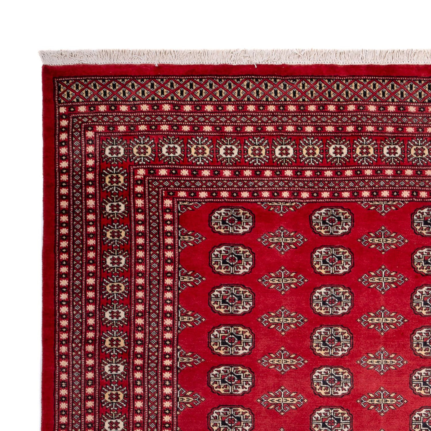 Bukhara Mattan 315x248cm - Oriental Carpet