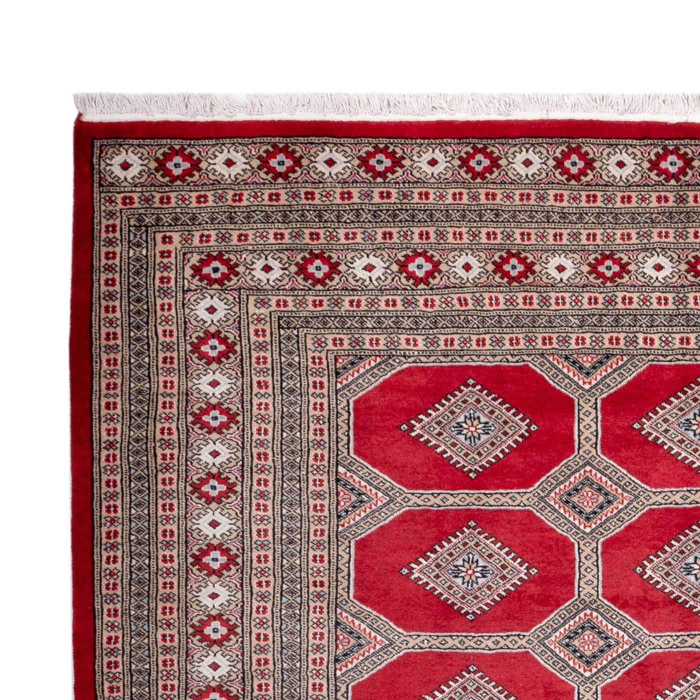 Bukhara Mattan 287x220cm - Oriental Carpet