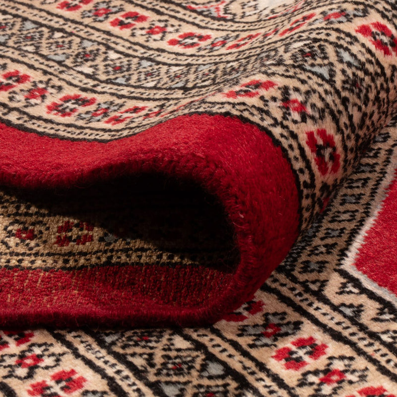 Afghansk matta - Bukhara - 287 x 220 cm - röd