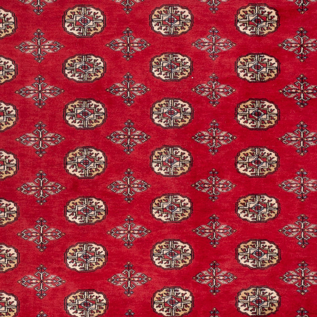 Afghansk matta - Bukhara - 298 x 198 cm - röd