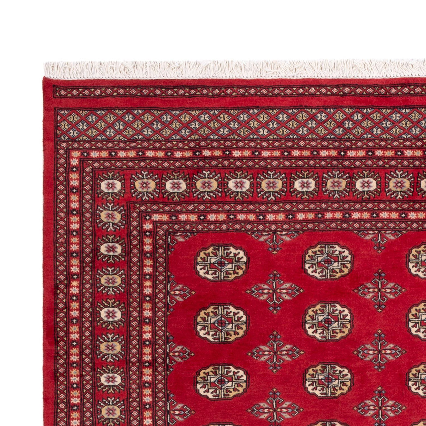 Bukhara Mattan 298x198cm - Oriental Carpet