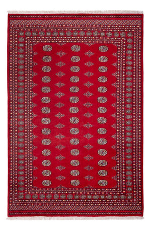 Afghansk matta - Bukhara - 303 x 205 cm - röd