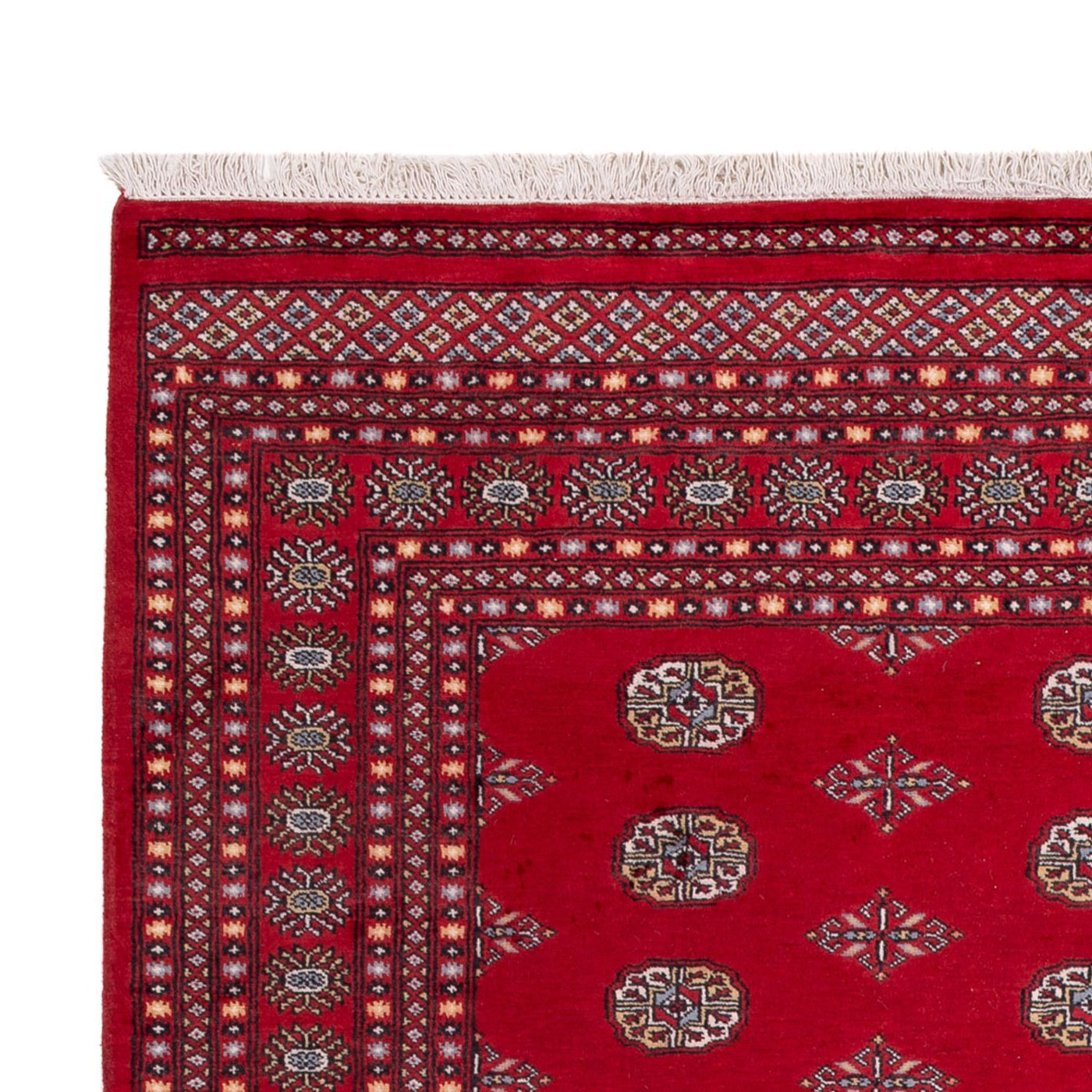 Bukhara Mattan 303x205cm - Oriental Carpet