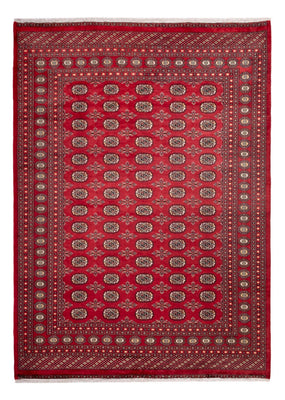 Afghansk matta - Bukhara - 297 x 220 cm - röd