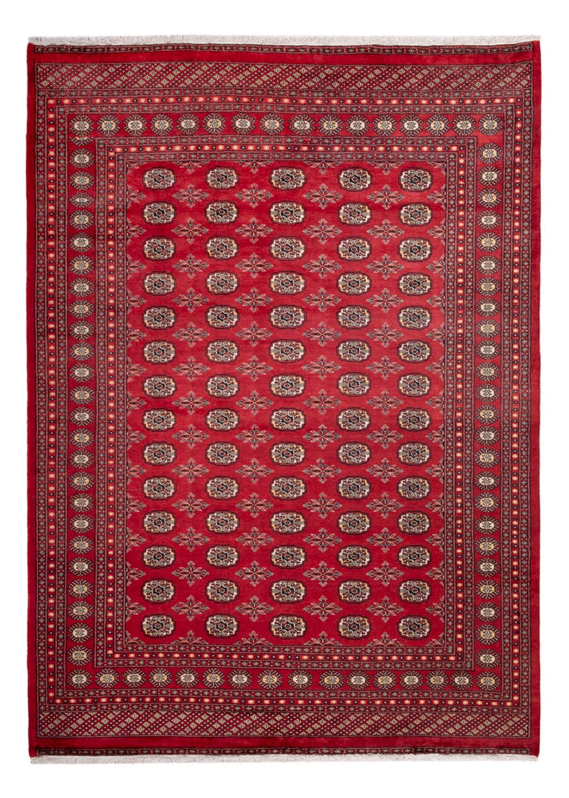 Afghansk matta - Bukhara - 297 x 220 cm - röd
