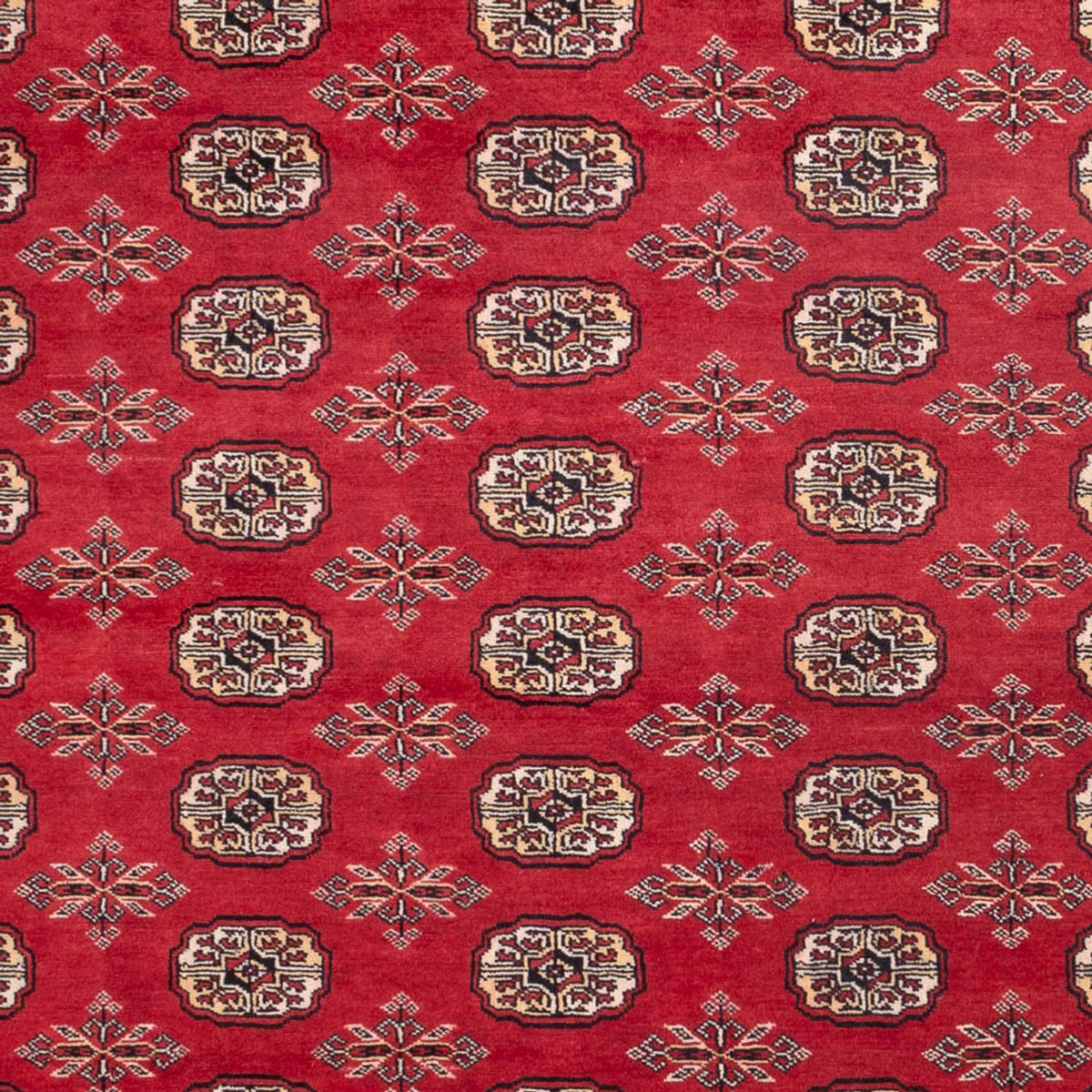 Afghansk matta - Bukhara - 297 x 220 cm - röd