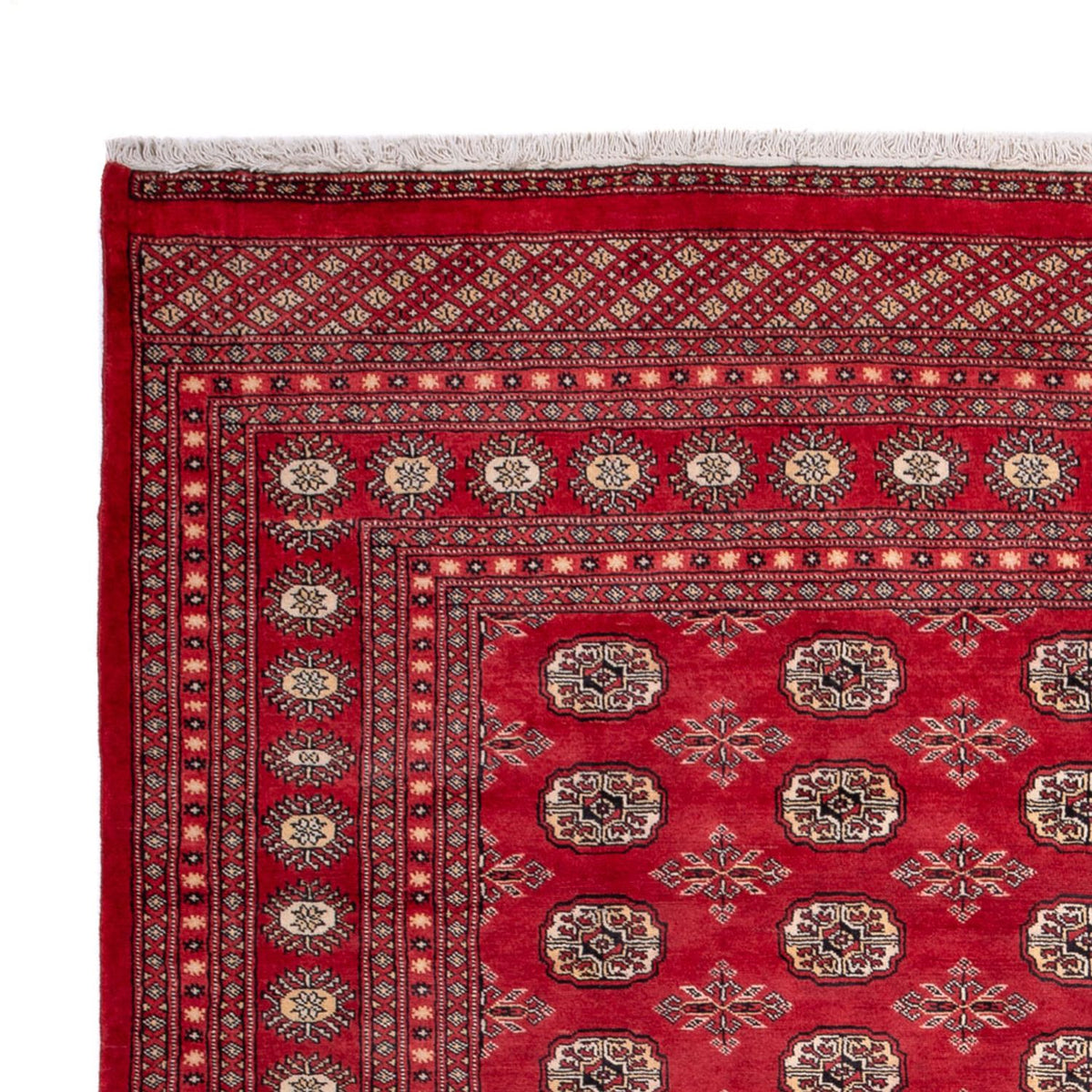 Bukhara Mattan 220x297cm - Oriental Carpet