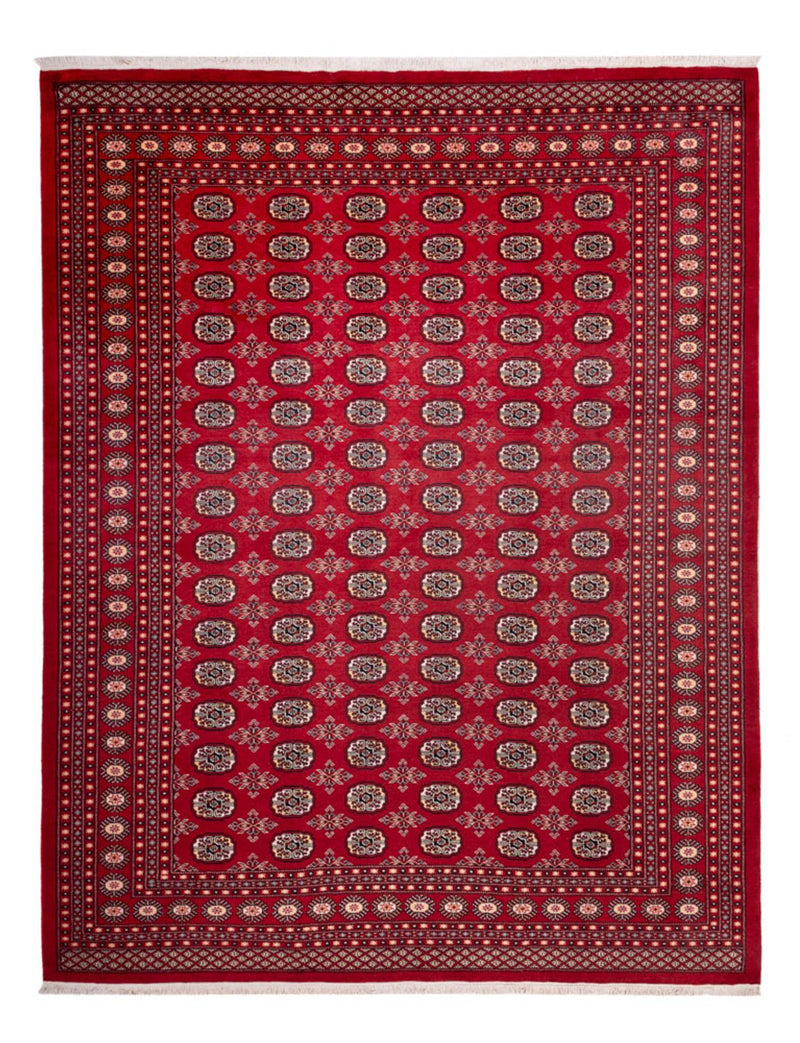 Afghansk matta - Bukhara - 322 x 248 cm - röd