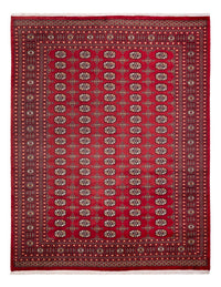 Afghansk matta - Bukhara - 312 x 245 cm - röd