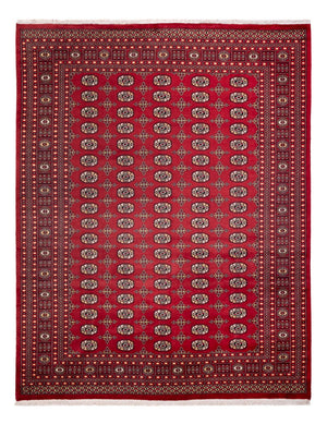 Afghansk matta - Bukhara - 312 x 245 cm - röd