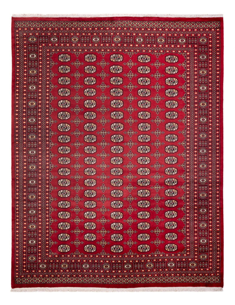 Afghansk matta - Bukhara - 312 x 245 cm - röd