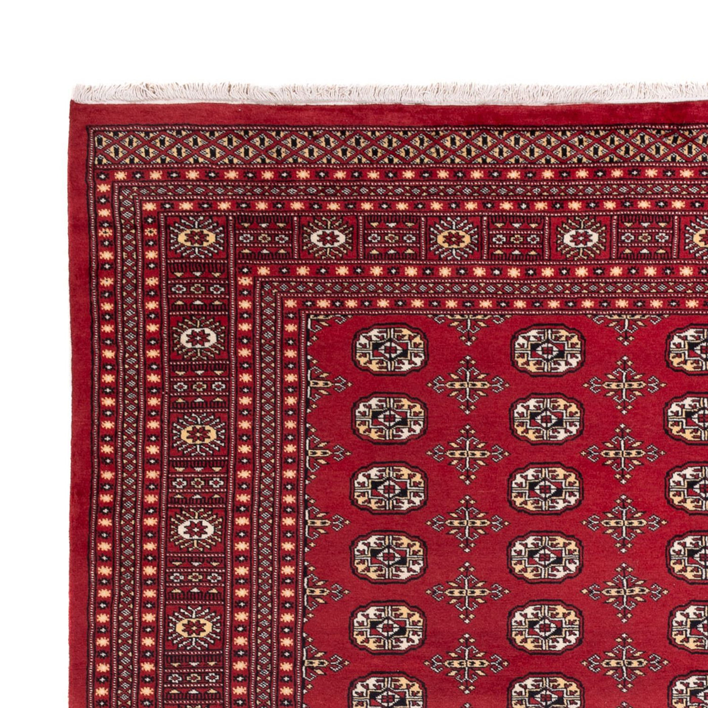 Bukhara Mattan 312x245cm - Oriental Carpet