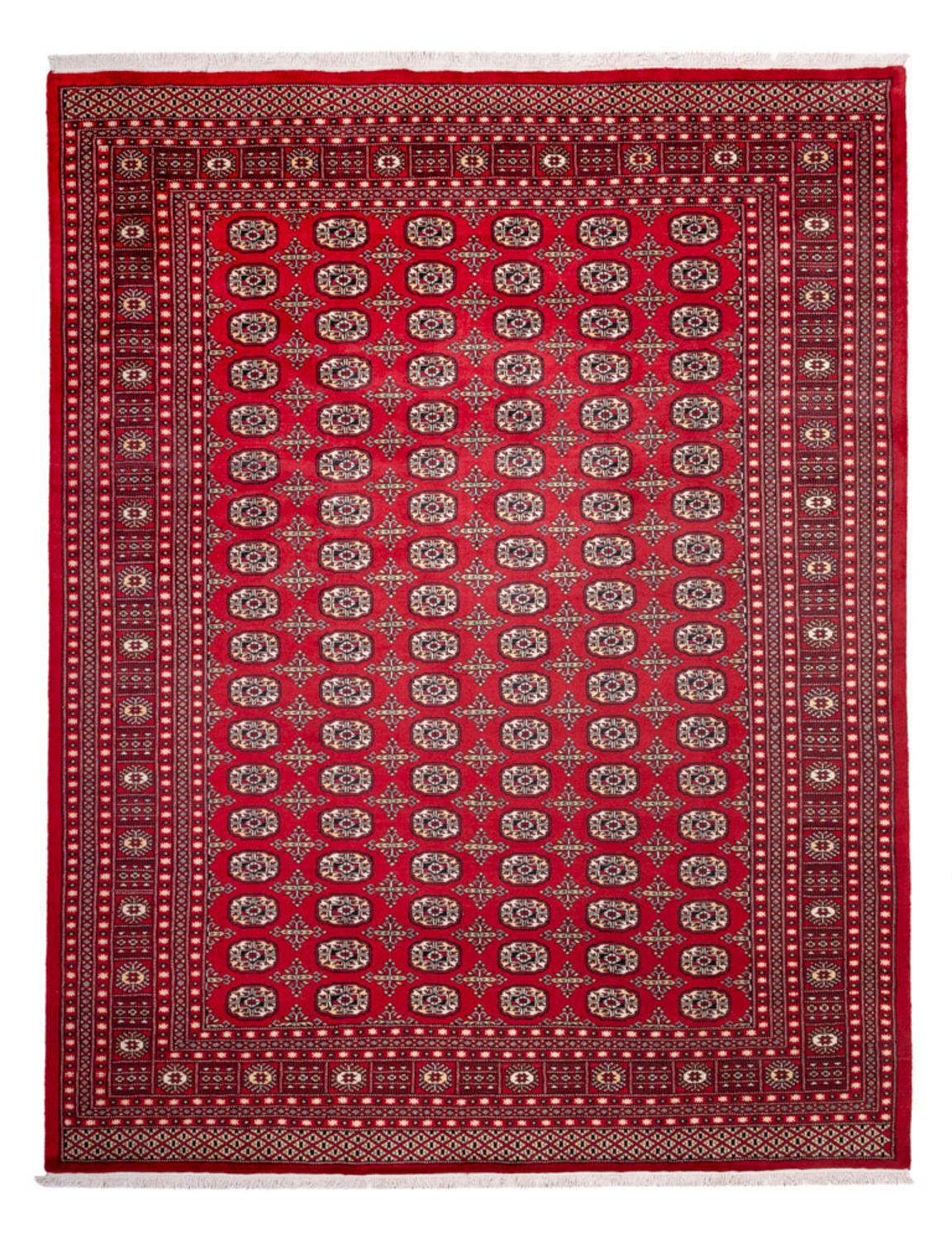 Afghansk matta - Bukhara - 311 x 243 cm - röd