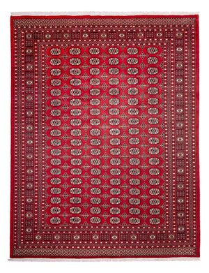 Afghansk matta - Bukhara - 311 x 243 cm - röd