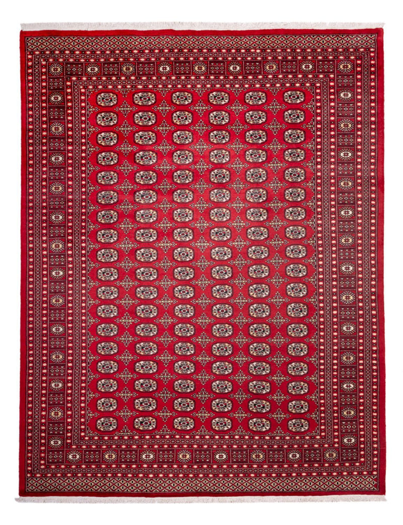 Afghansk matta - Bukhara - 311 x 243 cm - röd