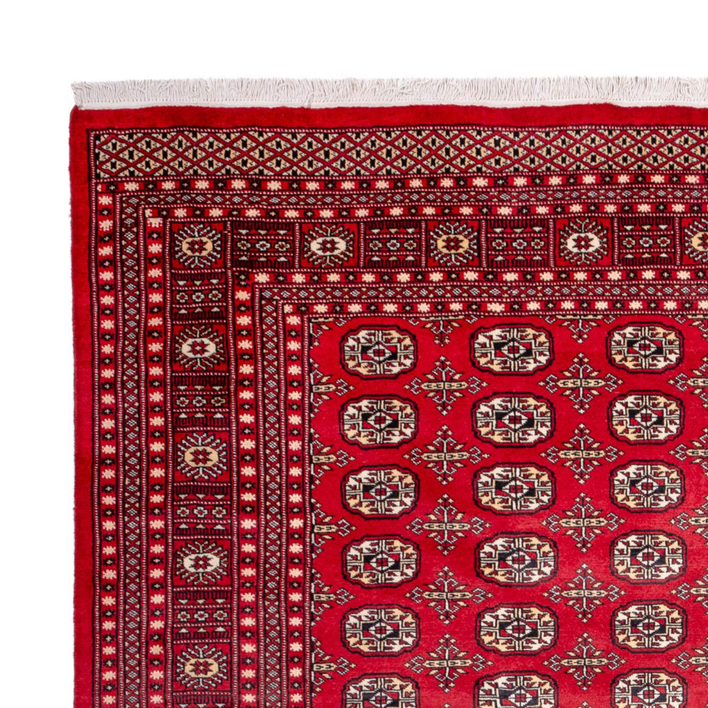 Bukhara Mattan 311x243cm - Oriental Carpet