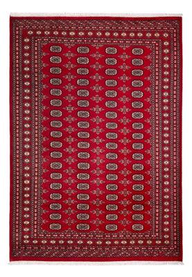 Afghansk matta - Bukhara - 297 x 213 cm - röd