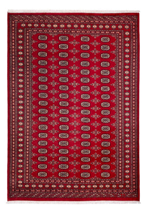 Afghansk matta - Bukhara - 297 x 213 cm - röd