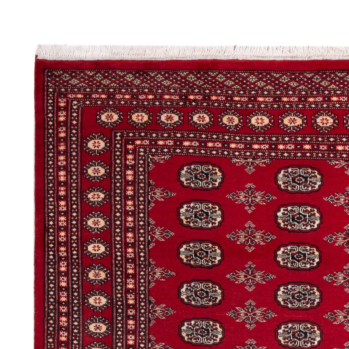 Bukhara Mattan 297x213cm - Oriental Carpet