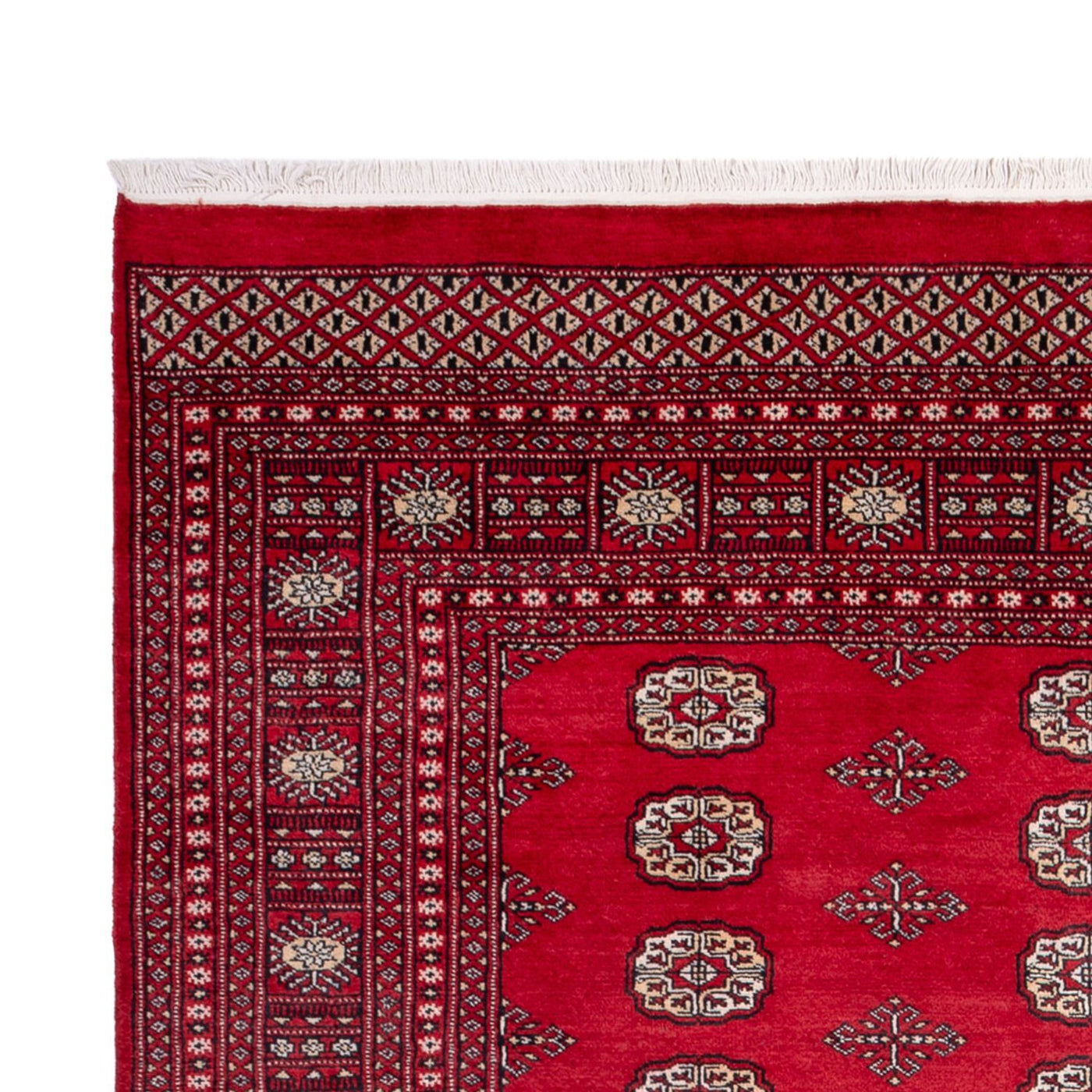 Bukhara Mattan 306x197cm - Oriental Carpet
