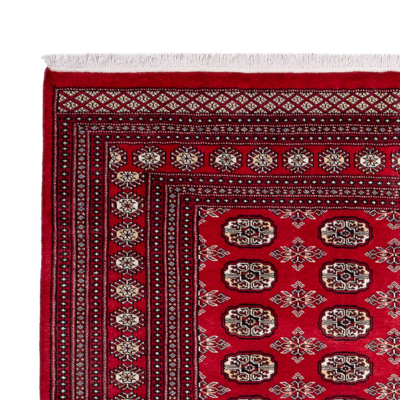 Bukhara Mattan 302x199cm - Oriental Carpet