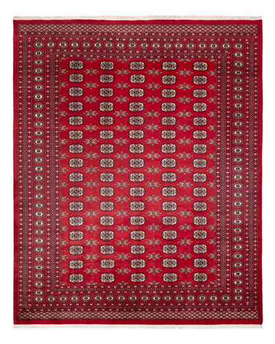 Bukhara Mattan 247x307cm - Oriental Carpet