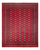 Bukhara Mattan 307x247cm - Oriental Carpet