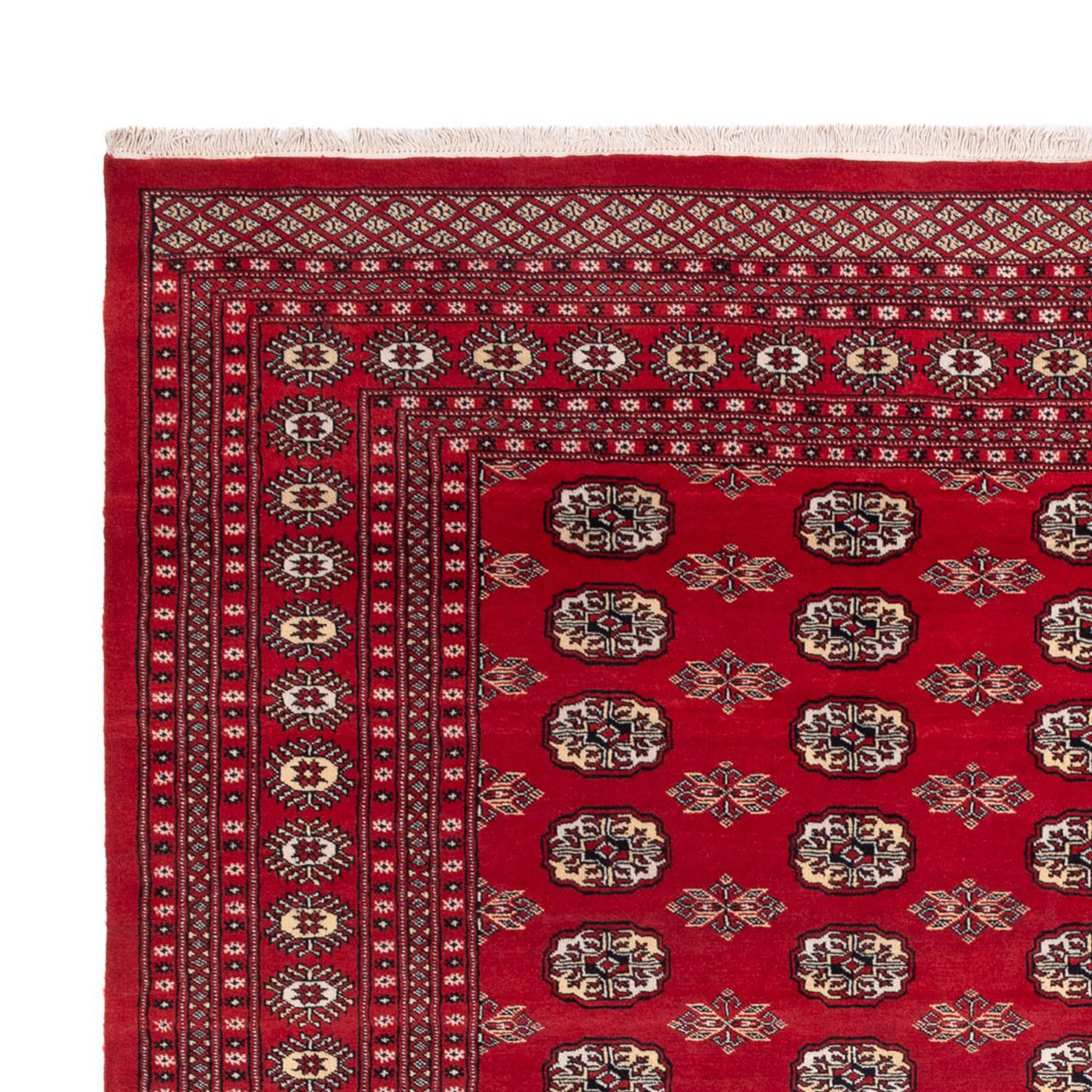 Bukhara Mattan 307x247cm - Oriental Carpet