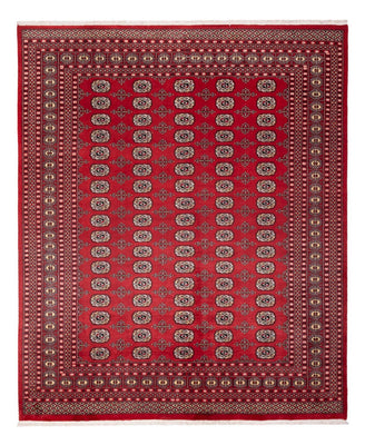 Afghansk matta - Bukhara - 298 x 243 cm - röd
