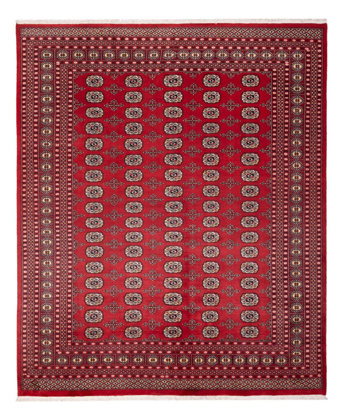 Afghansk matta - Bukhara - 298 x 243 cm - röd