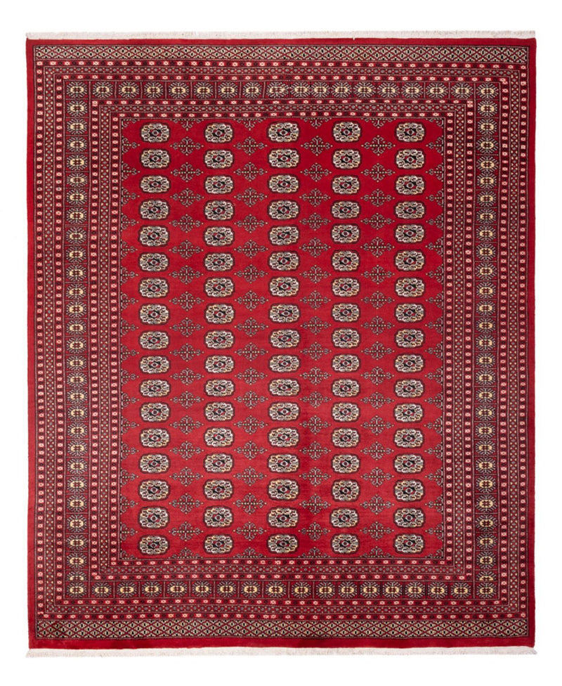 Afghansk matta - Bukhara - 298 x 243 cm - röd