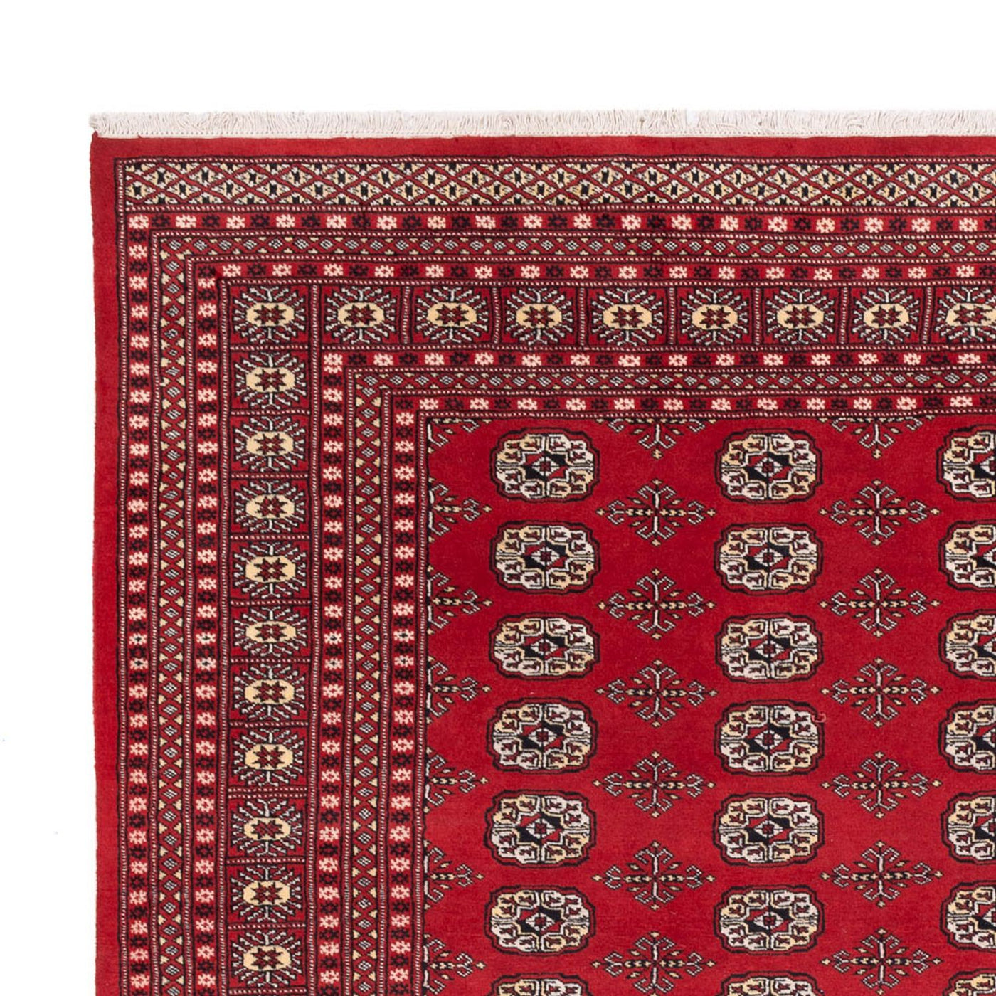 Bukhara Mattan 298x243cm - Oriental Carpet