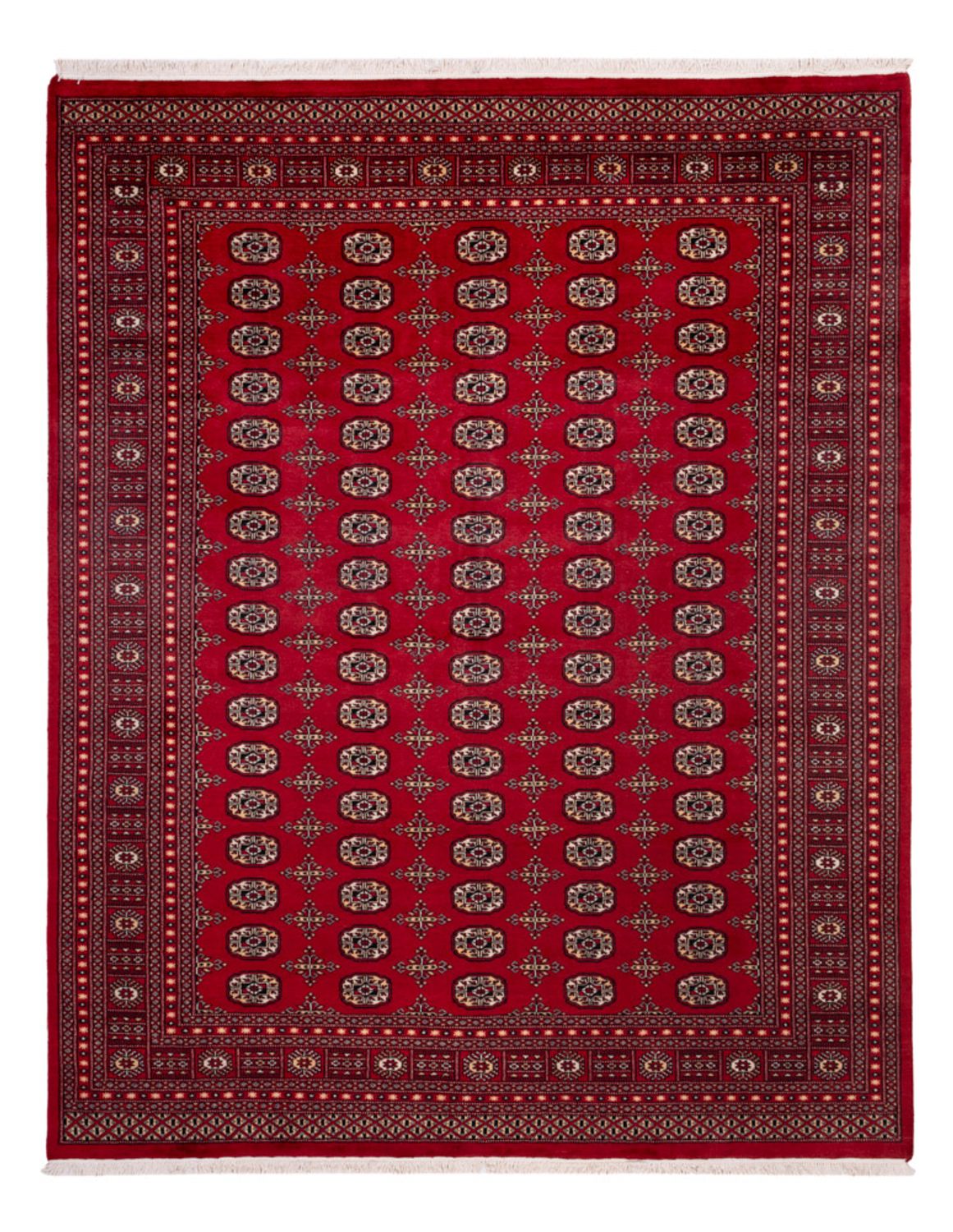 Afghansk matta - Bukhara - 308 x 243 cm - röd